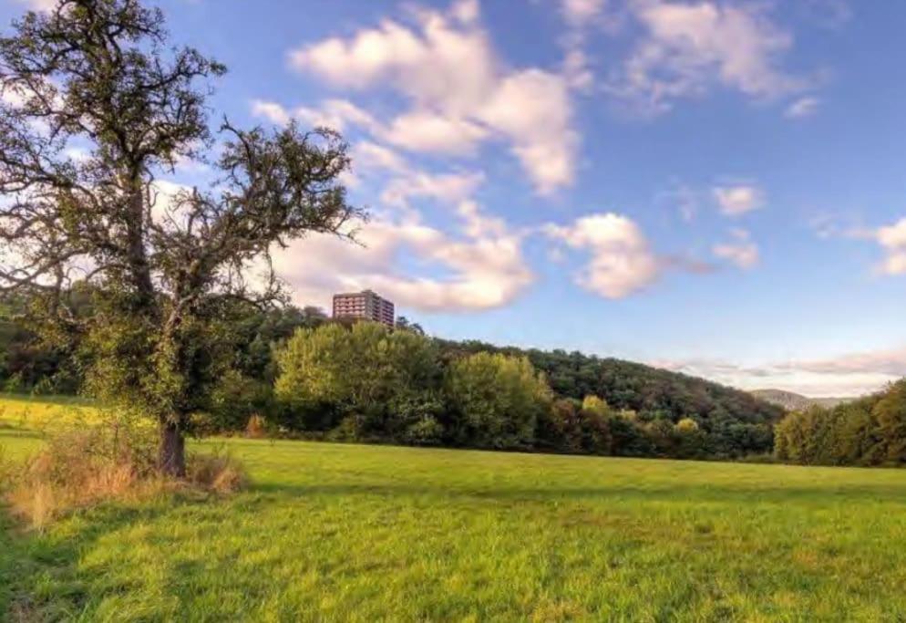 B603, Bezauberndes Appartement Lahnstein Luaran gambar
