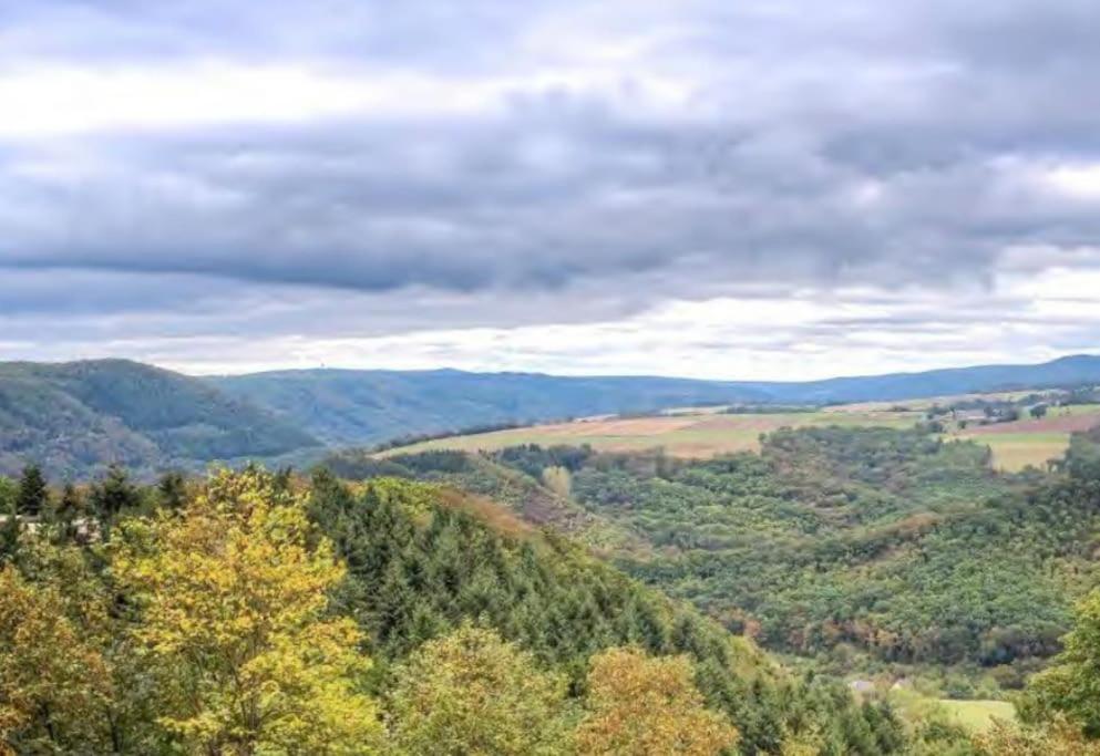 B603, Bezauberndes Appartement Lahnstein Luaran gambar